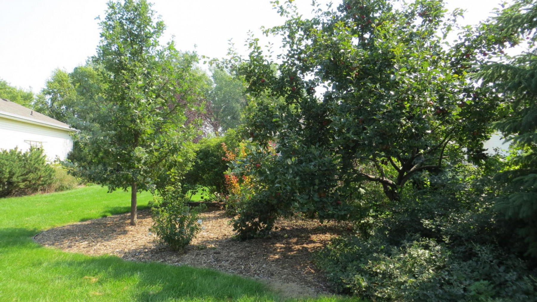 810 Pamela Drive, Brookings, SD 57006