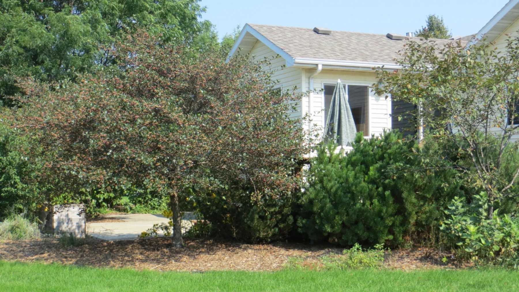 810 Pamela Drive, Brookings, SD 57006