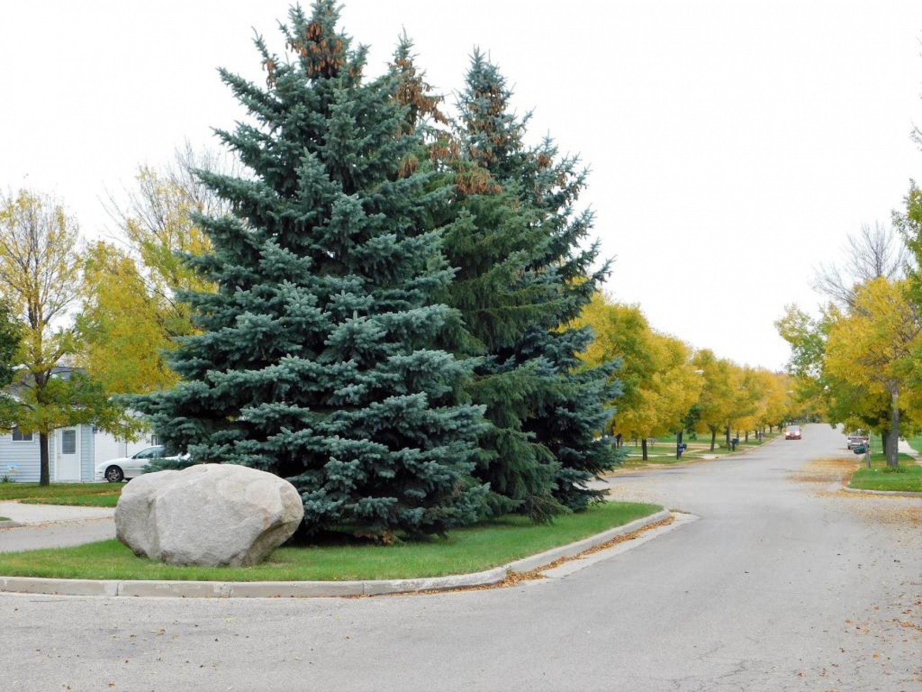 1929 17th Avenue S, Brookings, SD 57006