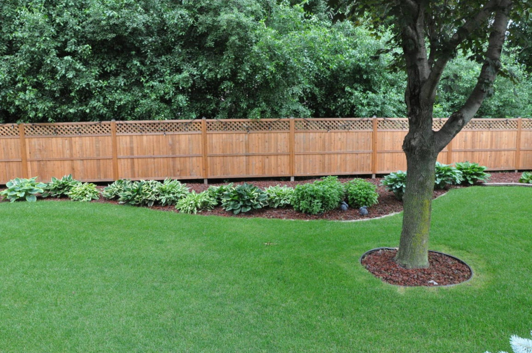 708 Park Avenue, Brookings, SD 57006