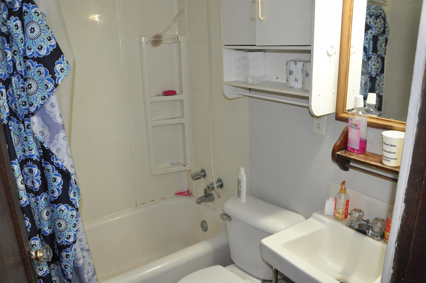 103 9th Street, Brookings, SD 57006