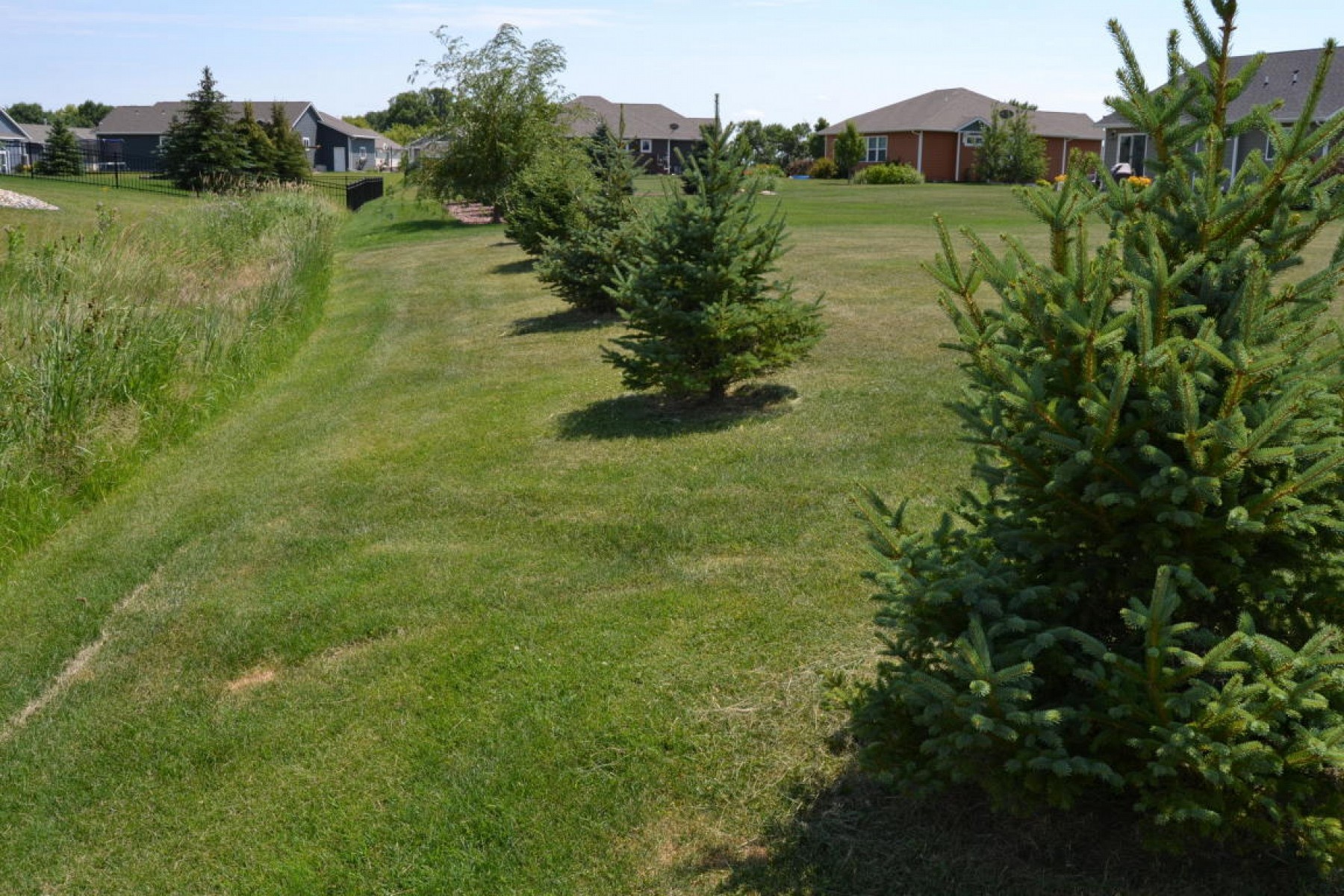 1825 Tanbury Lane, Brookings, SD 57006