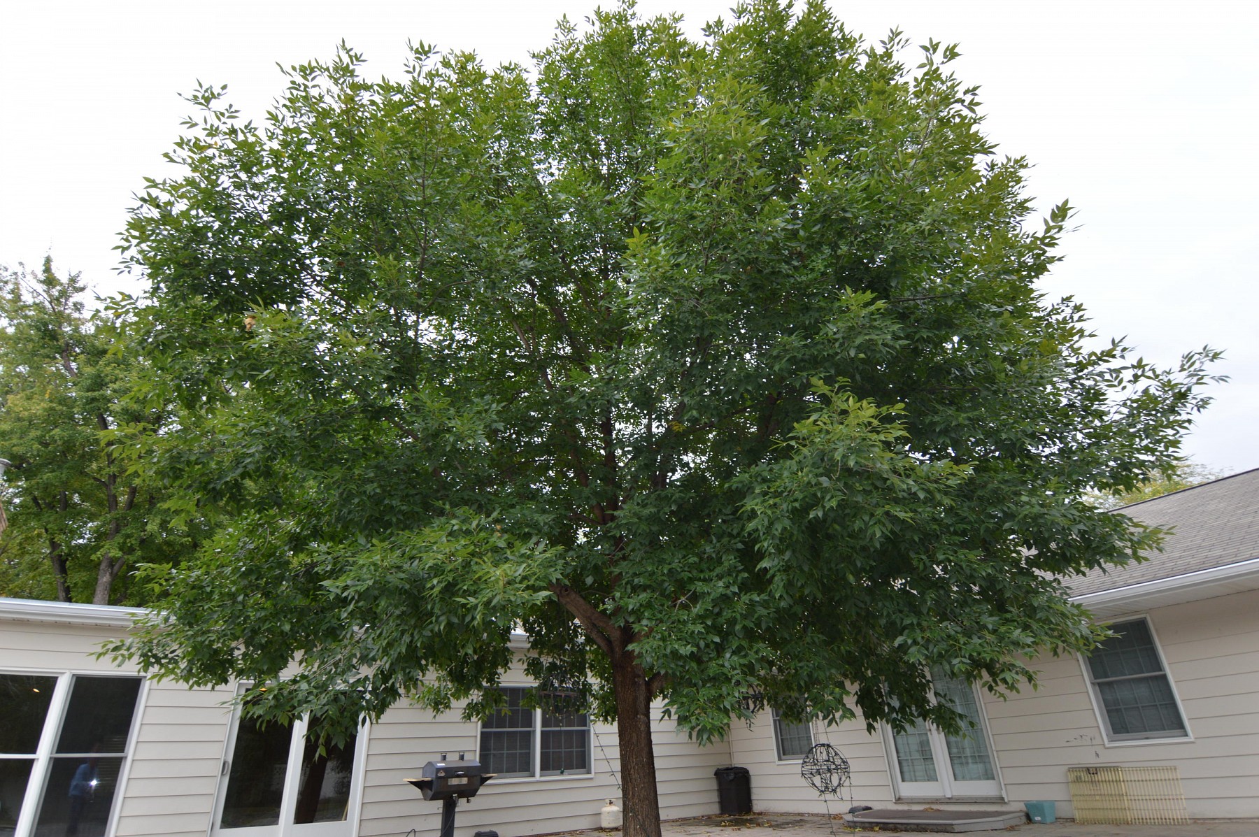 1733 Illinois Avenue SW, Huron, SD 57350