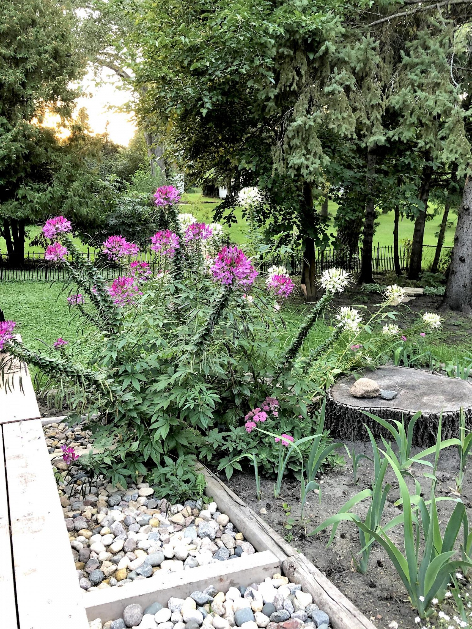 120 Gilley Avenue, Brookings, SD 57006