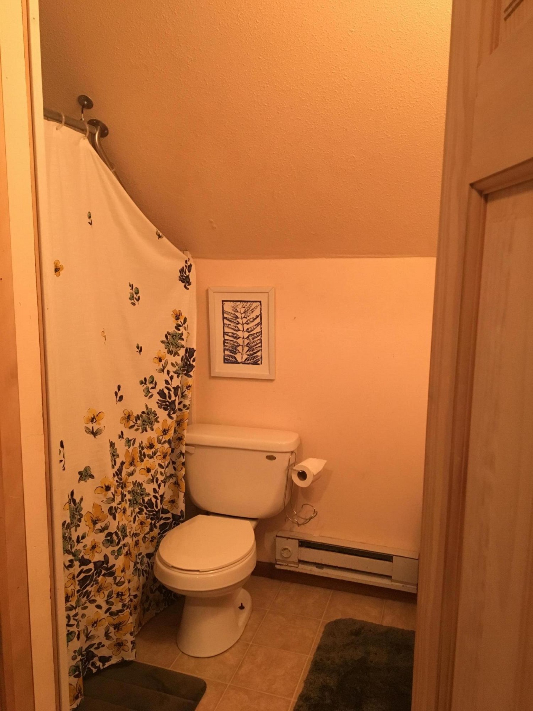 908 1st Street, Brookings, SD 57006