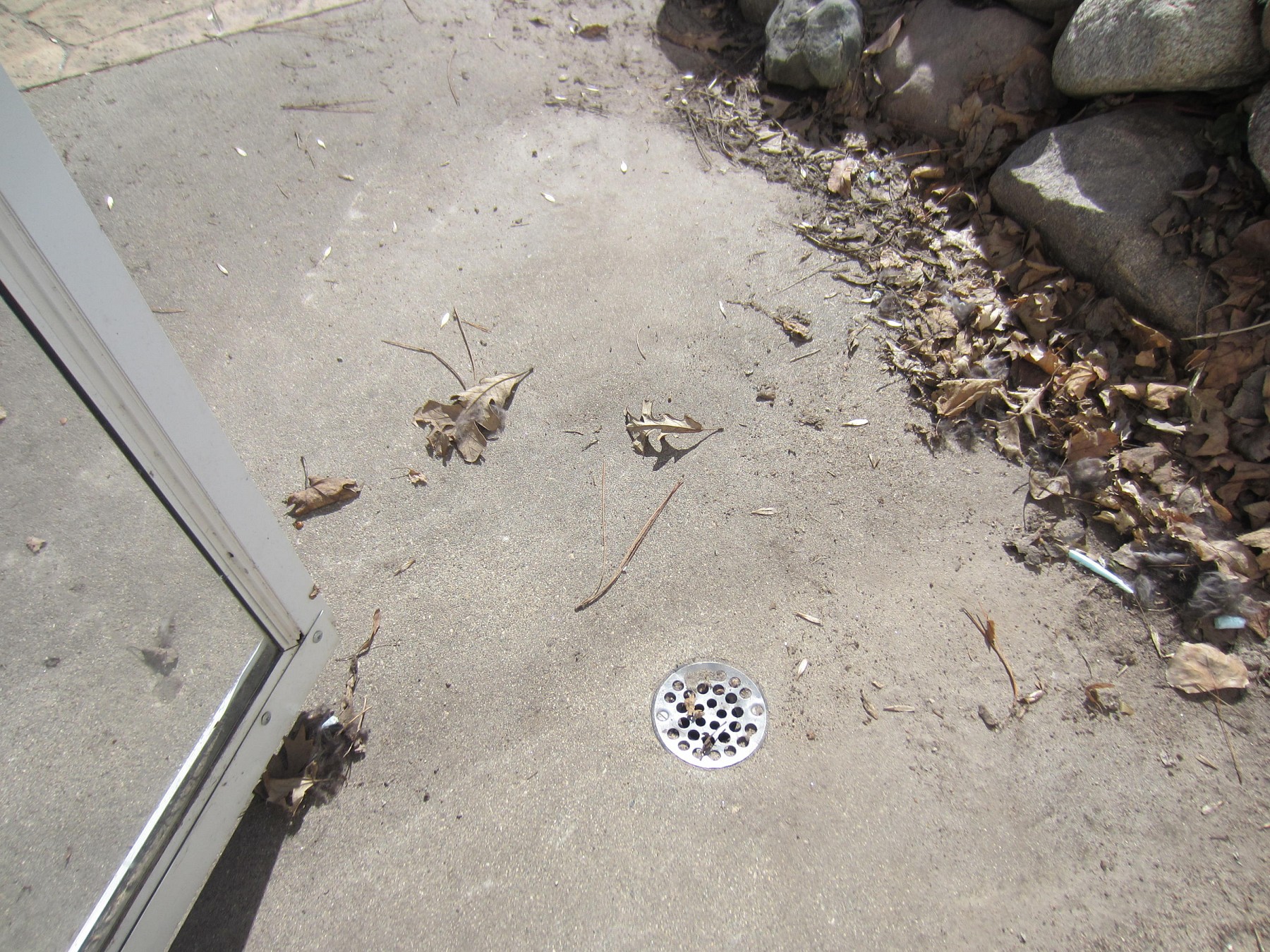 1018 11th Street S, Brookings, SD 57006