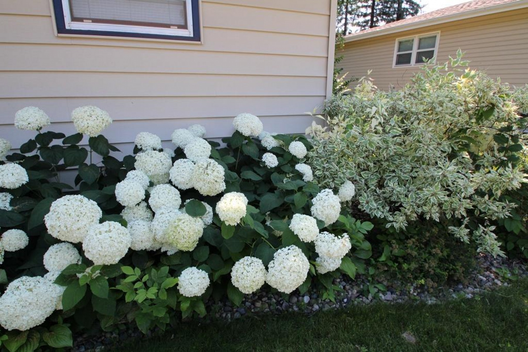 1814 Lincoln Lane, Brookings, SD 57006