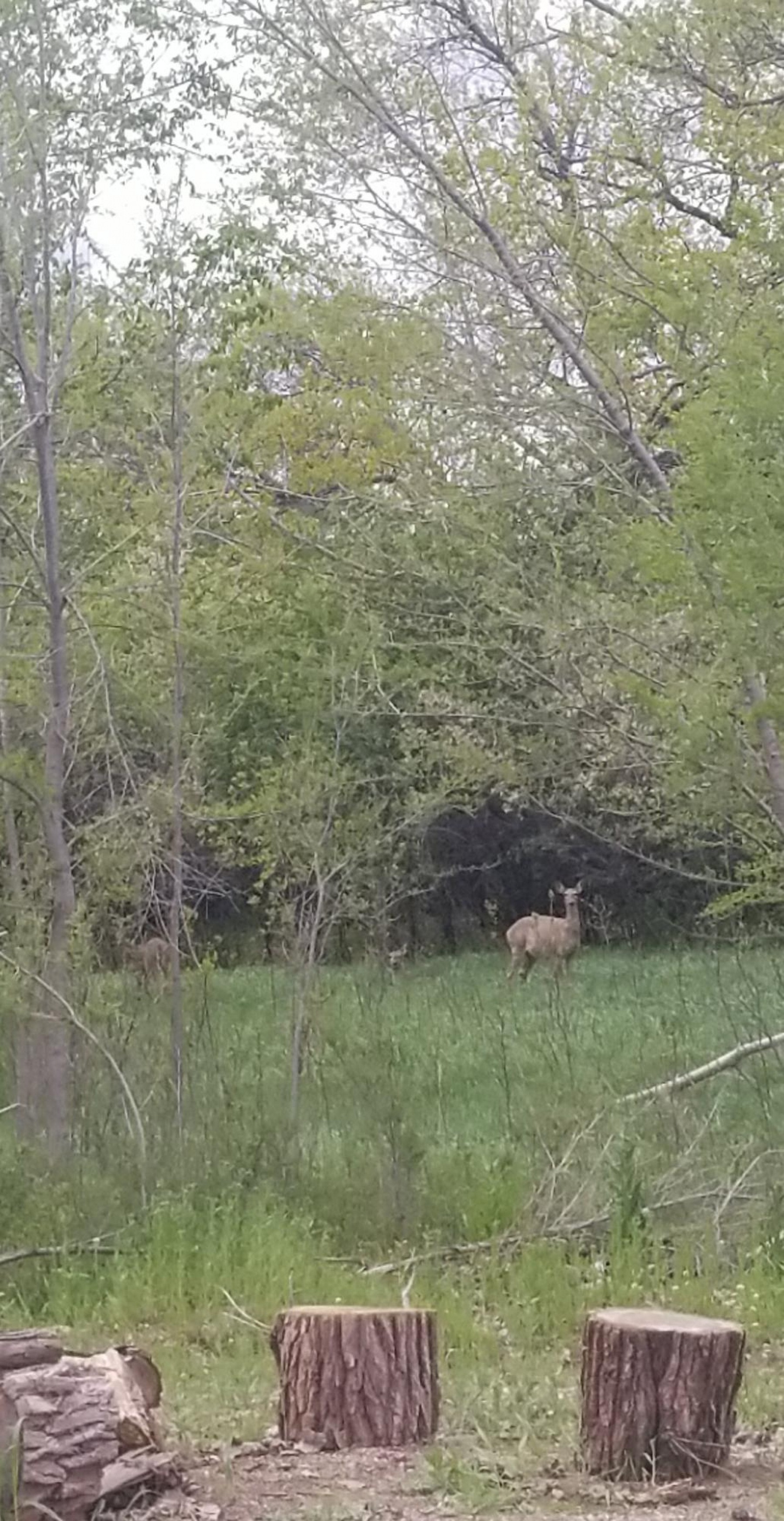 1333 4th Street, Madison, SD 57042