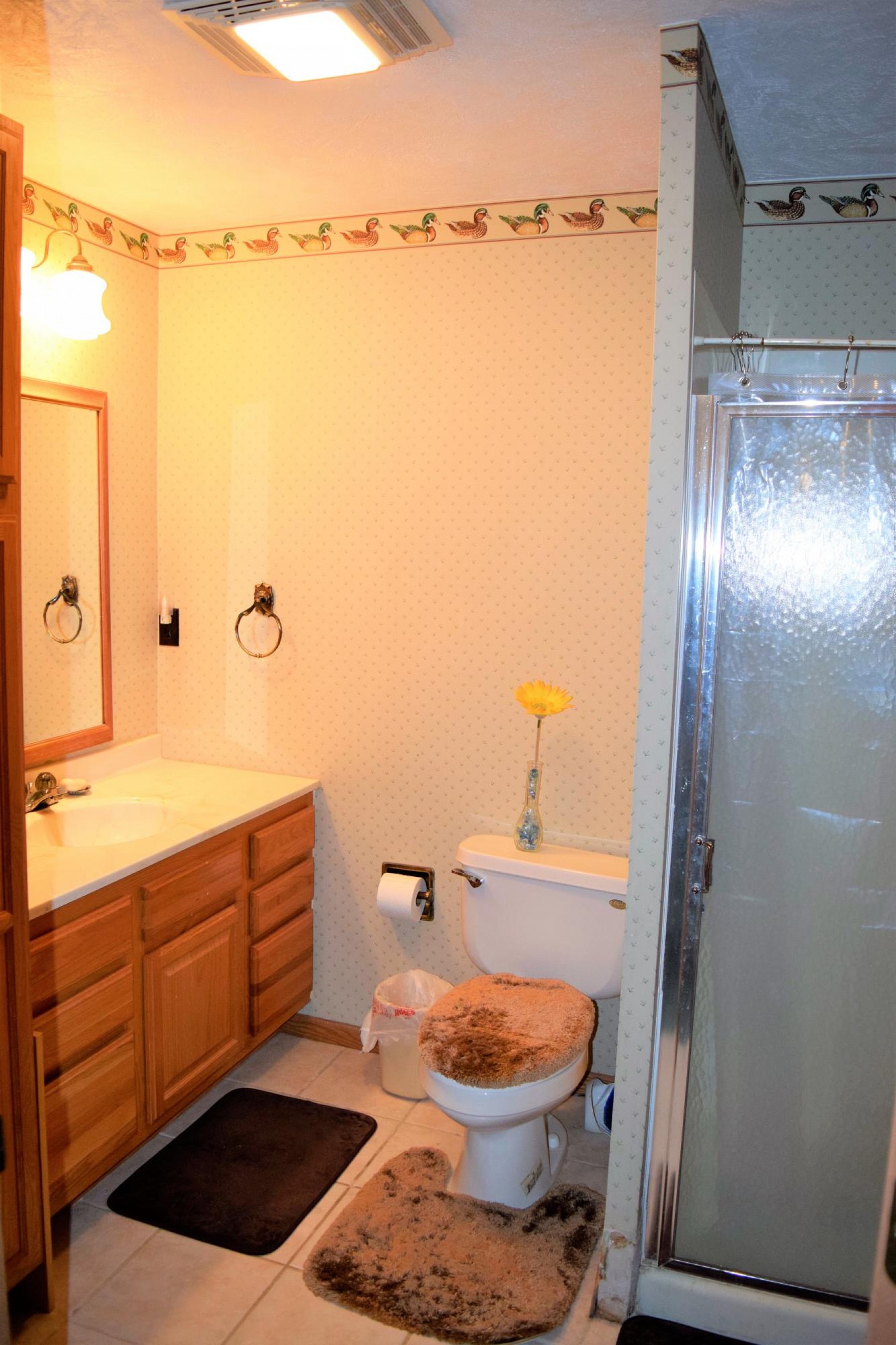 4018 Western Avenue S, Brookings, SD 57006