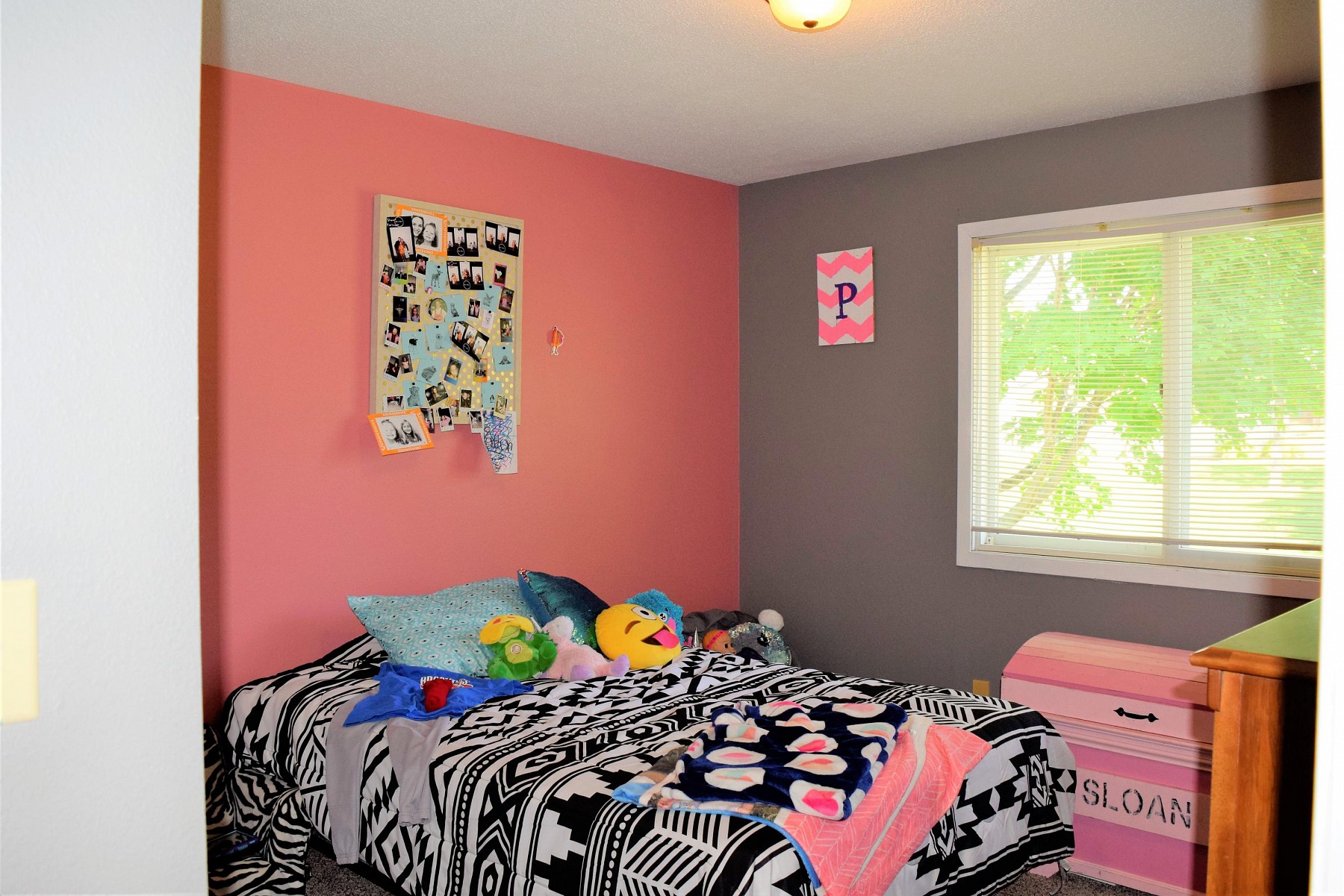 1123 Squire Court, Brookings, SD 57006