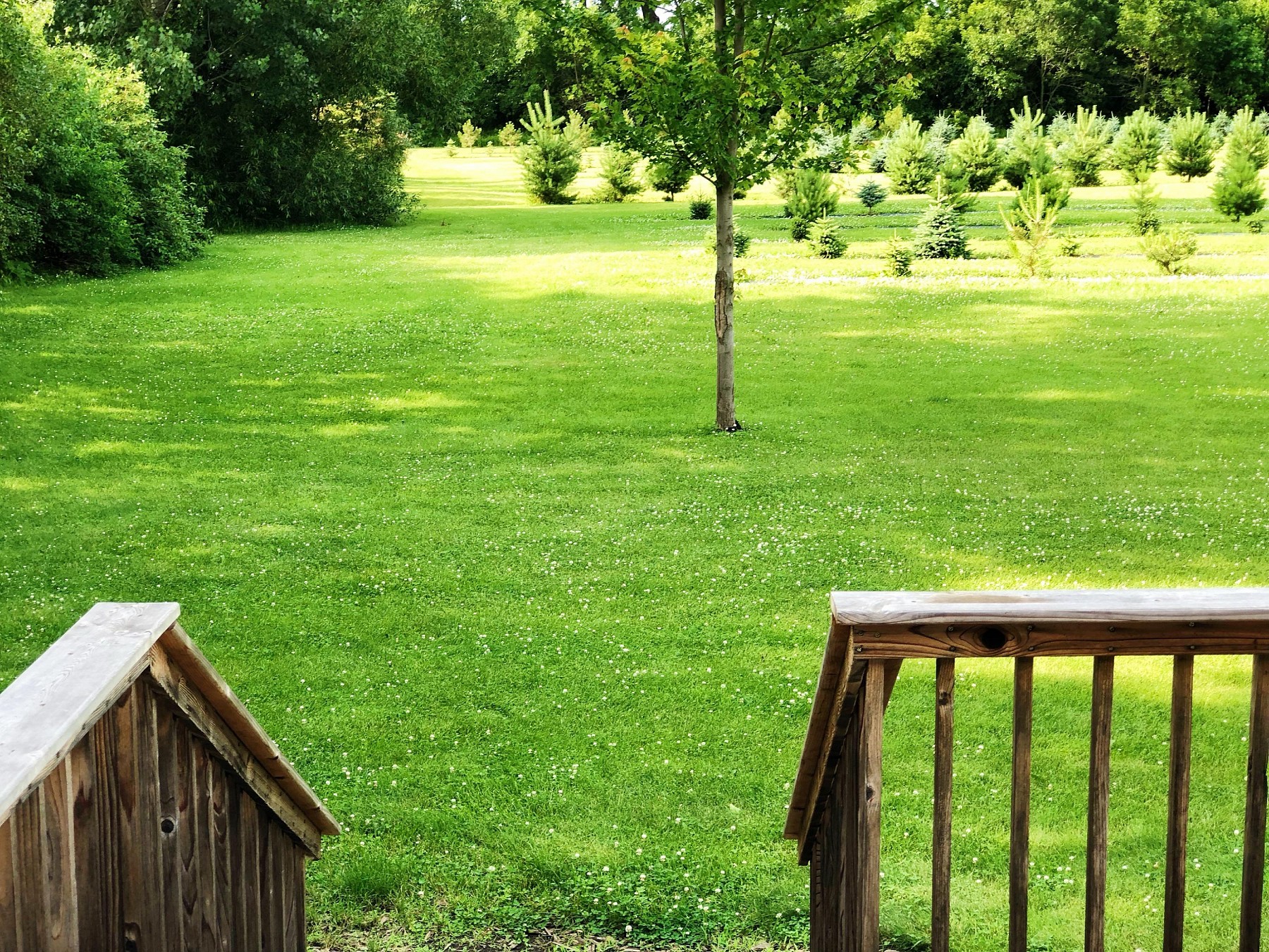 110 Poplar Street, Arlington, SD 57212