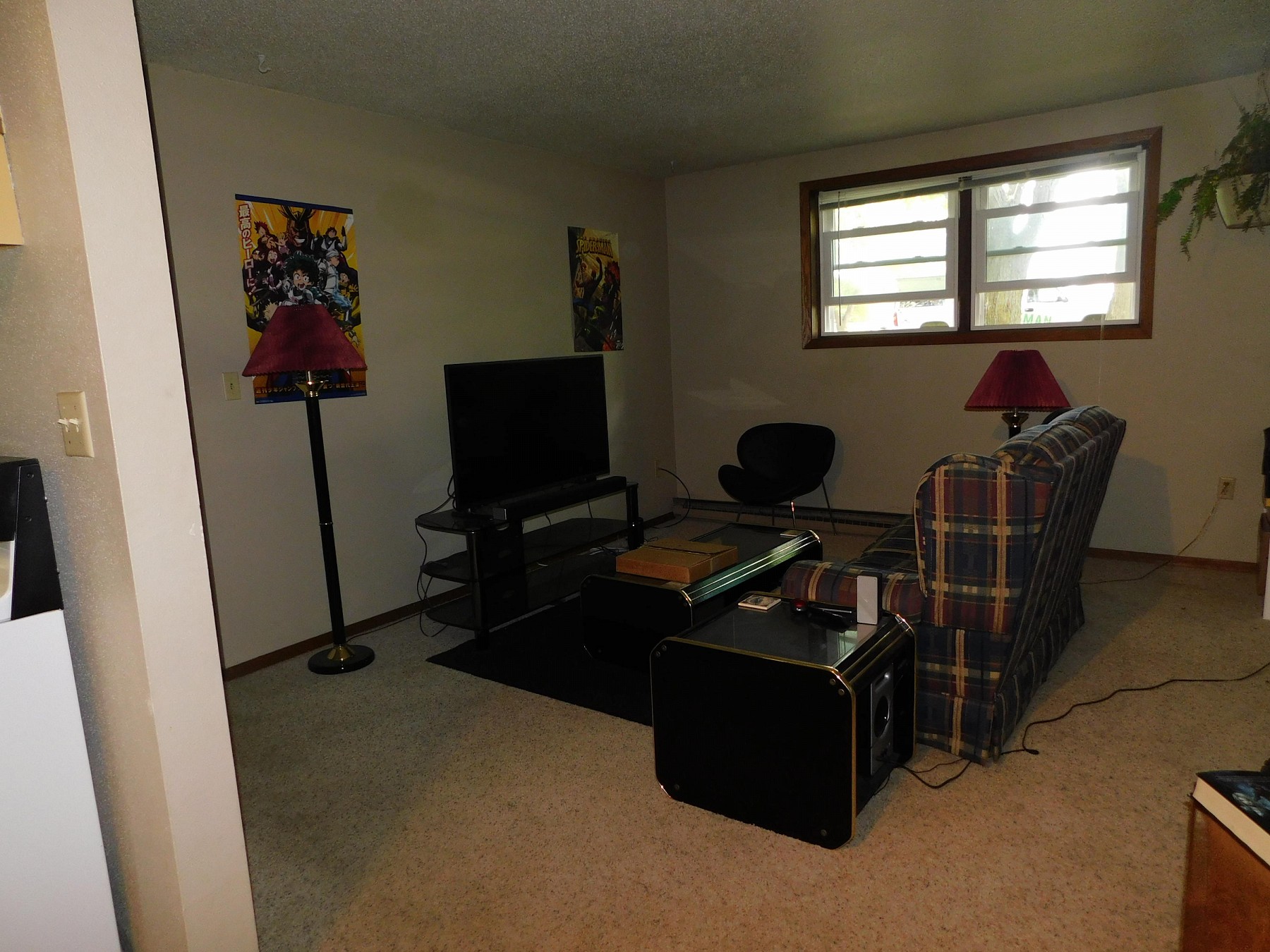 109 12th Avenue S, Brookings, SD 57006