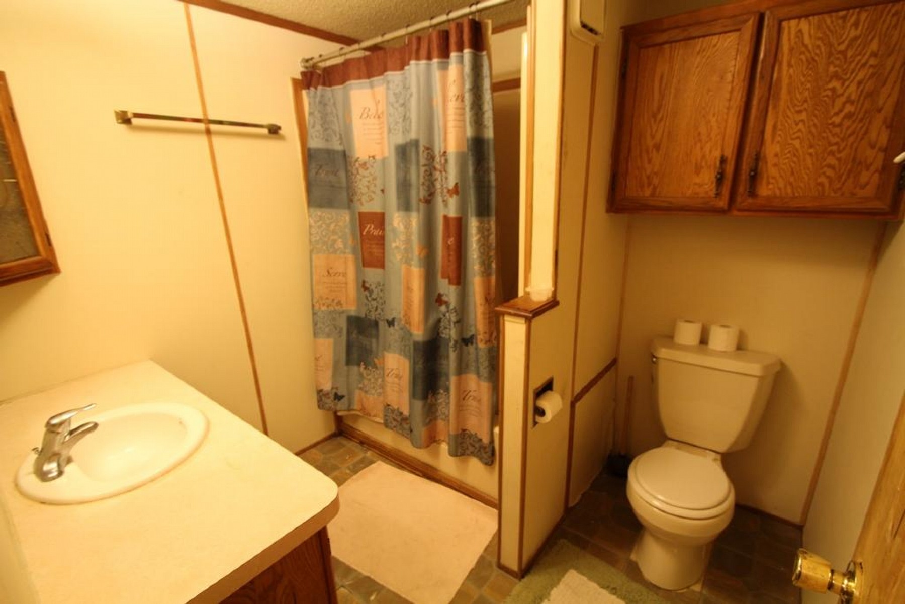 408 3rd Avenue S, Brookings, SD 57006