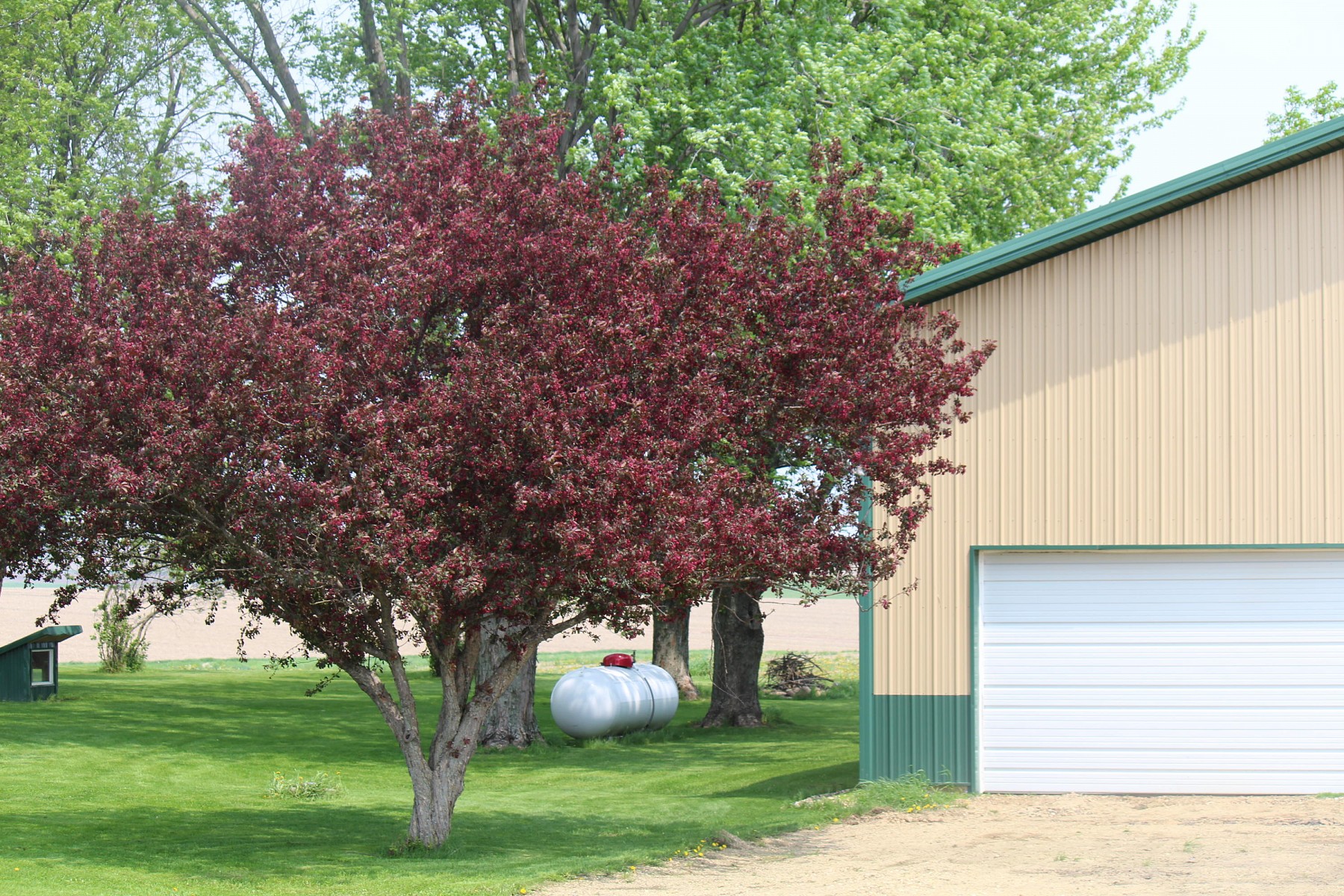 19904 478th Avenue, Toronto, SD 57268