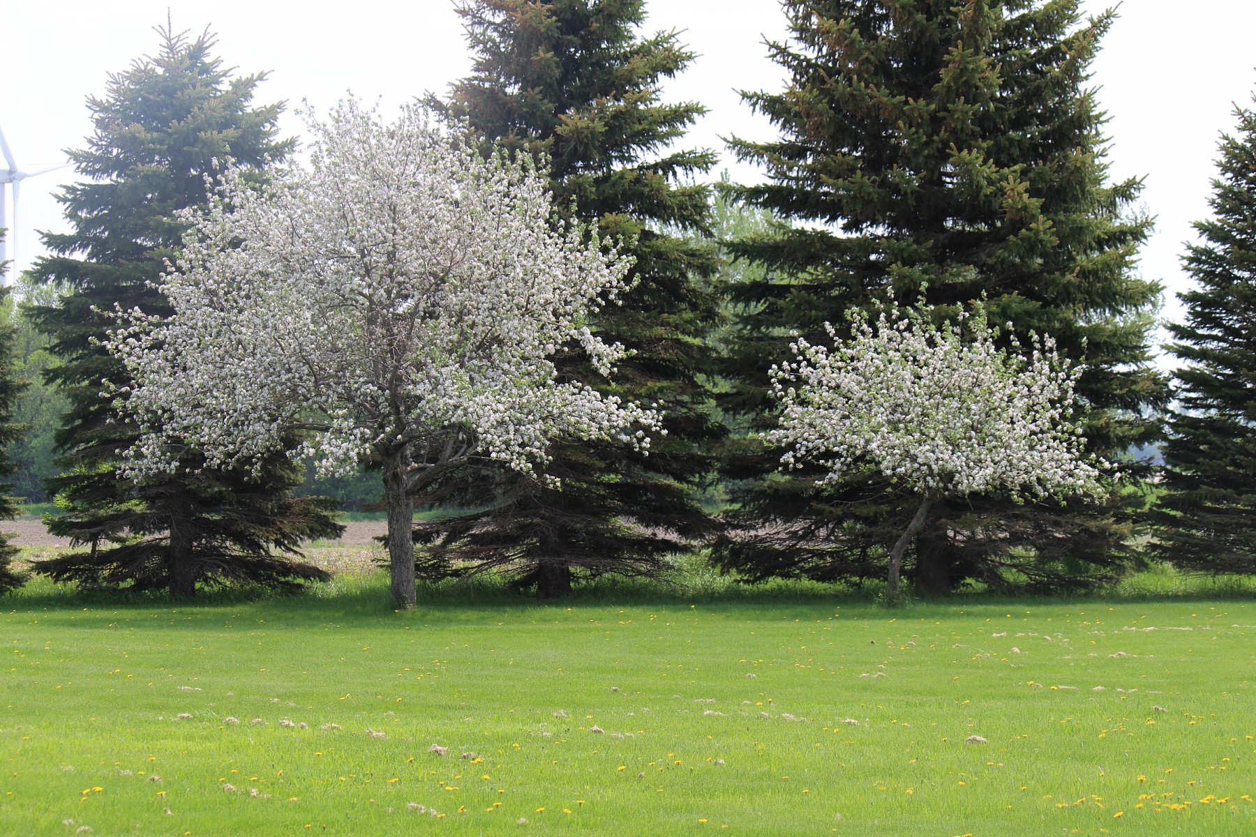 19904 478th Avenue, Toronto, SD 57268