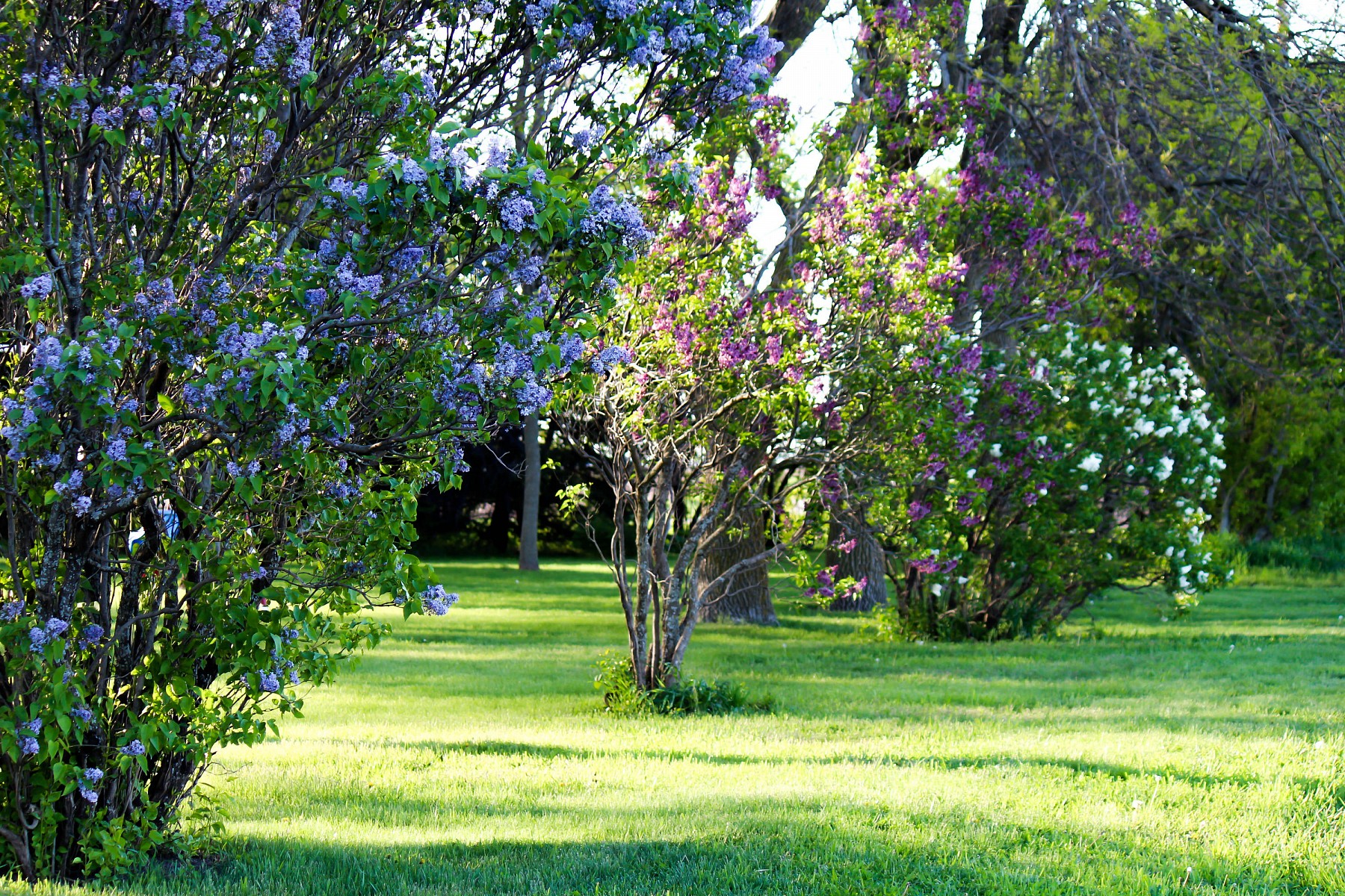 19904 478th Avenue, Toronto, SD 57268