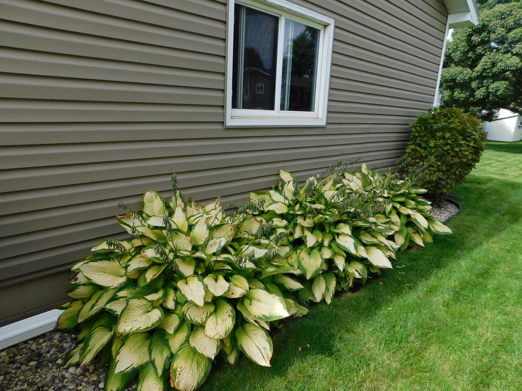 1423 Yosemite Lane, Brookings, SD 57006