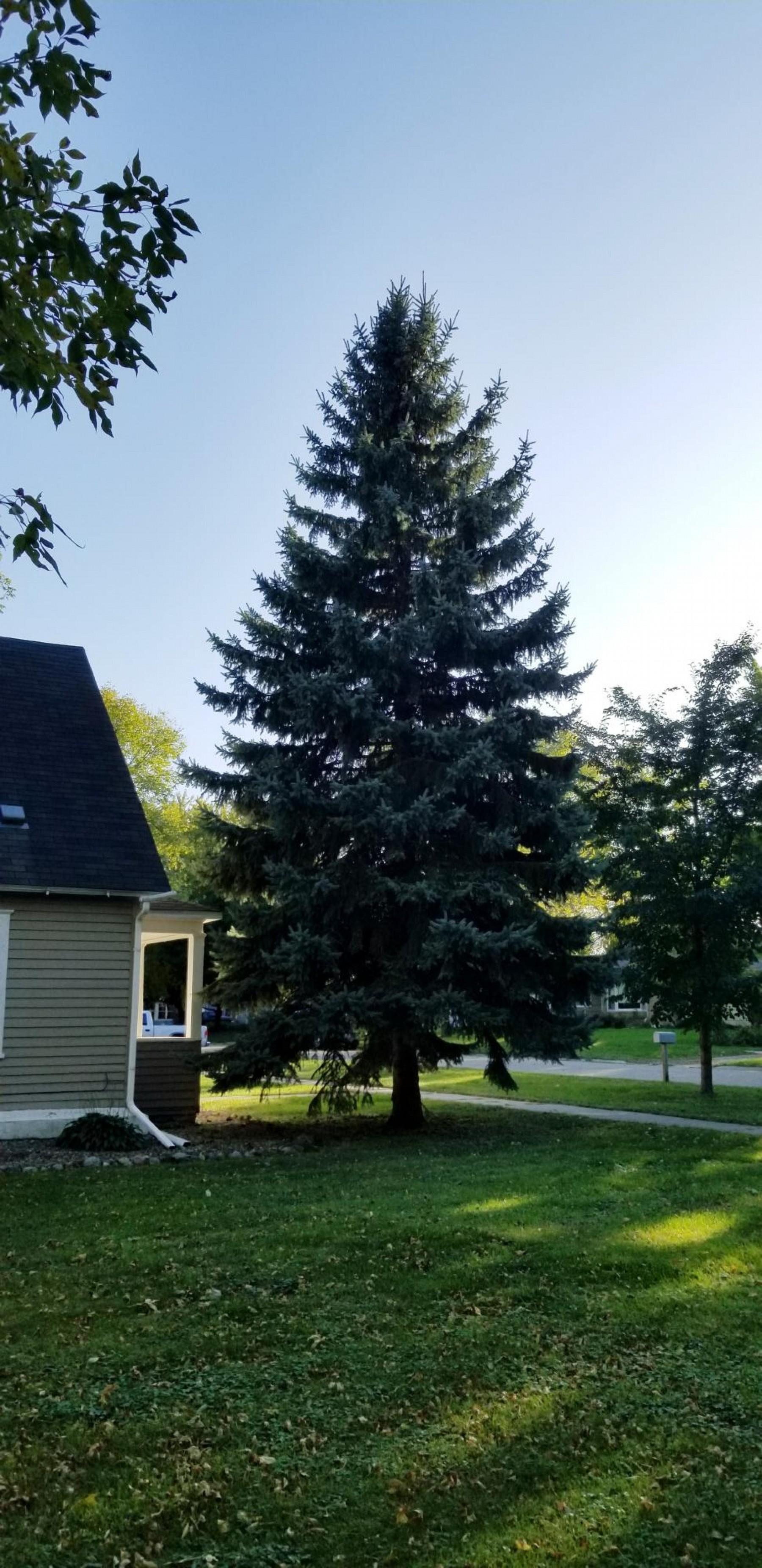 404 Marvin Avenue, Volga, SD 57071