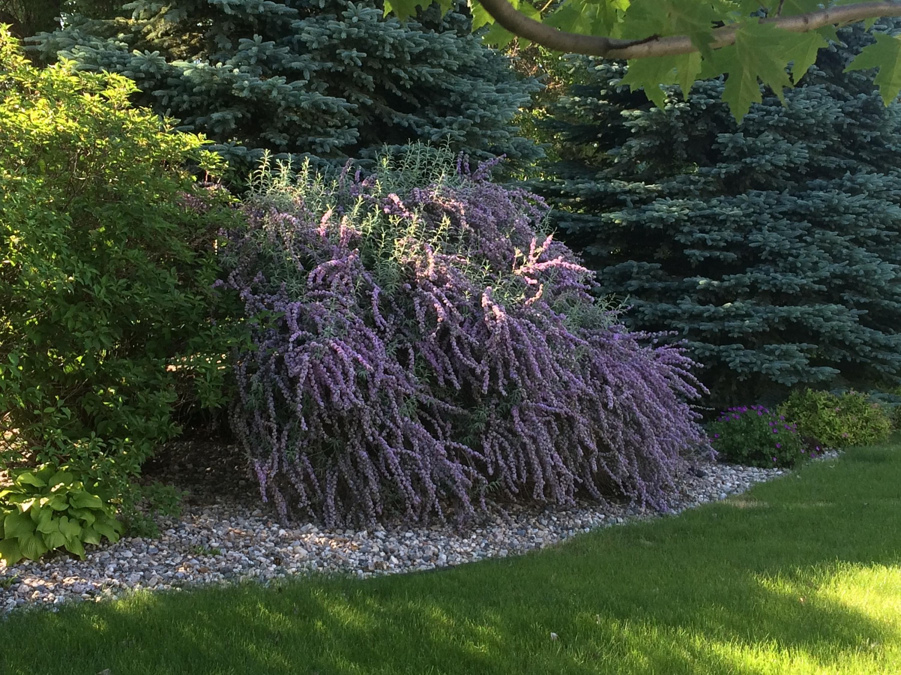 1158 Indian Hills Road, Brookings, SD 57006