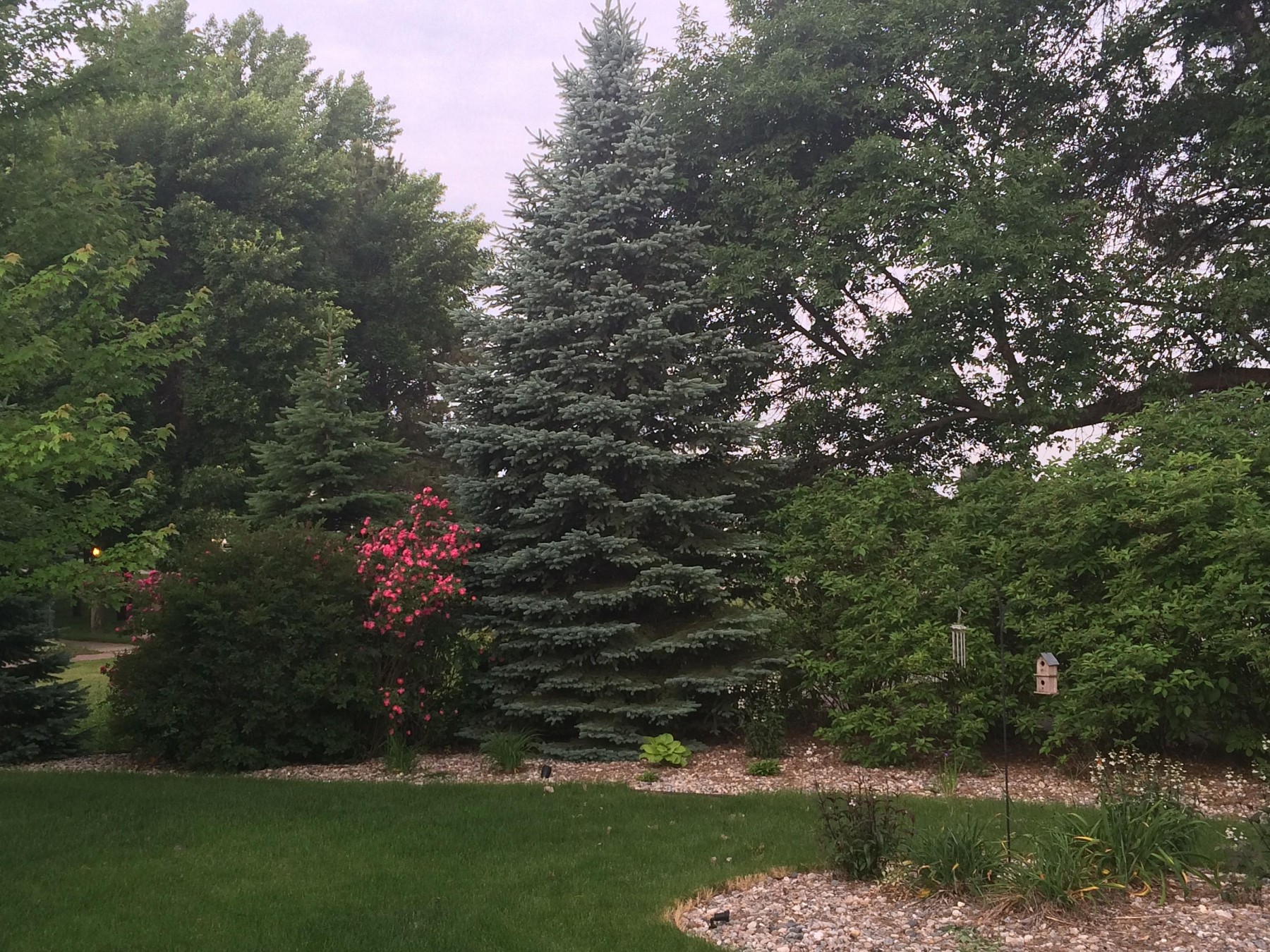 1158 Indian Hills Road, Brookings, SD 57006